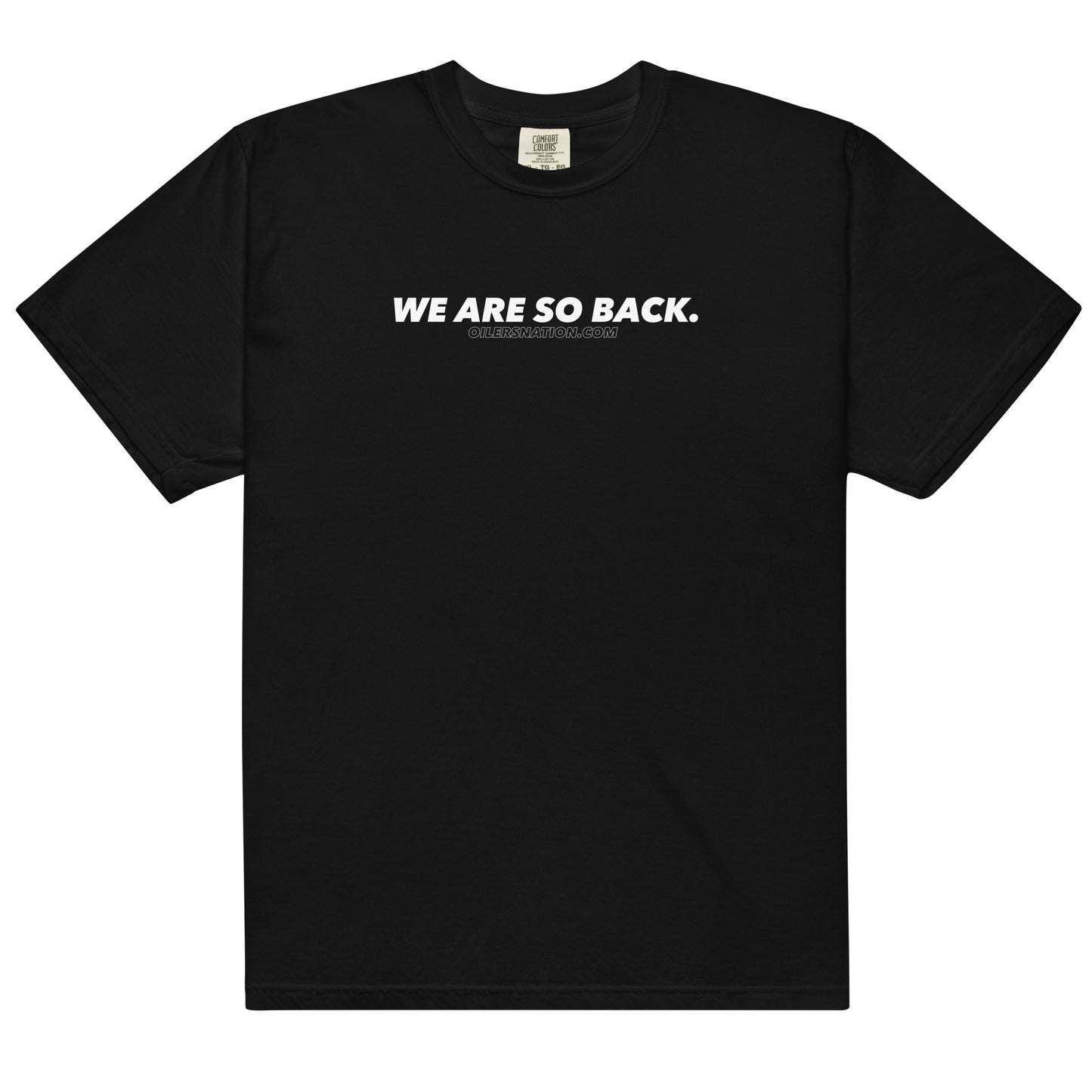 WE ARE SO BACK Heavyweight T-Shirt